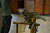 DSC_0218.jpg