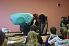 DSC_0185.jpg