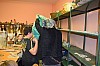 DSC_0186.jpg