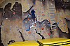 DSC_0164.jpg