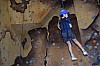 DSC_0165.jpg
