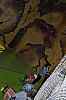DSC_0187.jpg