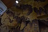 DSC_0219.jpg
