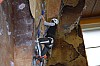 DSC_0247.jpg