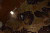 DSC_0257.jpg