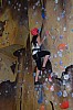 DSC_0285.jpg