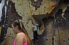 DSC_0040.jpg