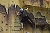 DSC_0110.jpg