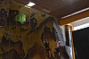 DSC_0134.jpg