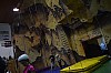 DSC_0157.jpg