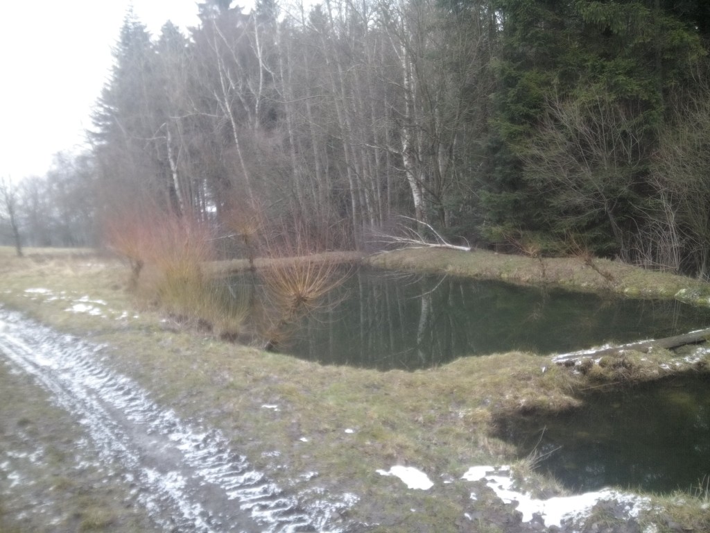 IMG_20160307_100621.jpg