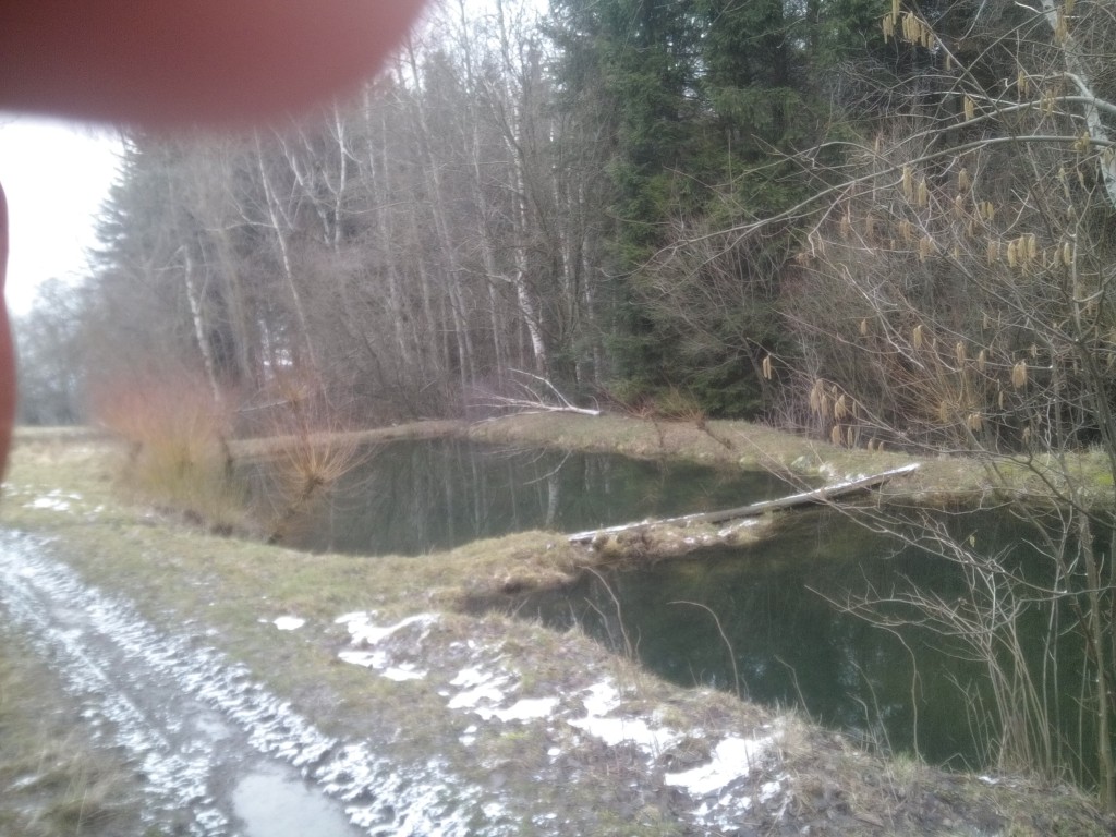 IMG_20160307_100628.jpg