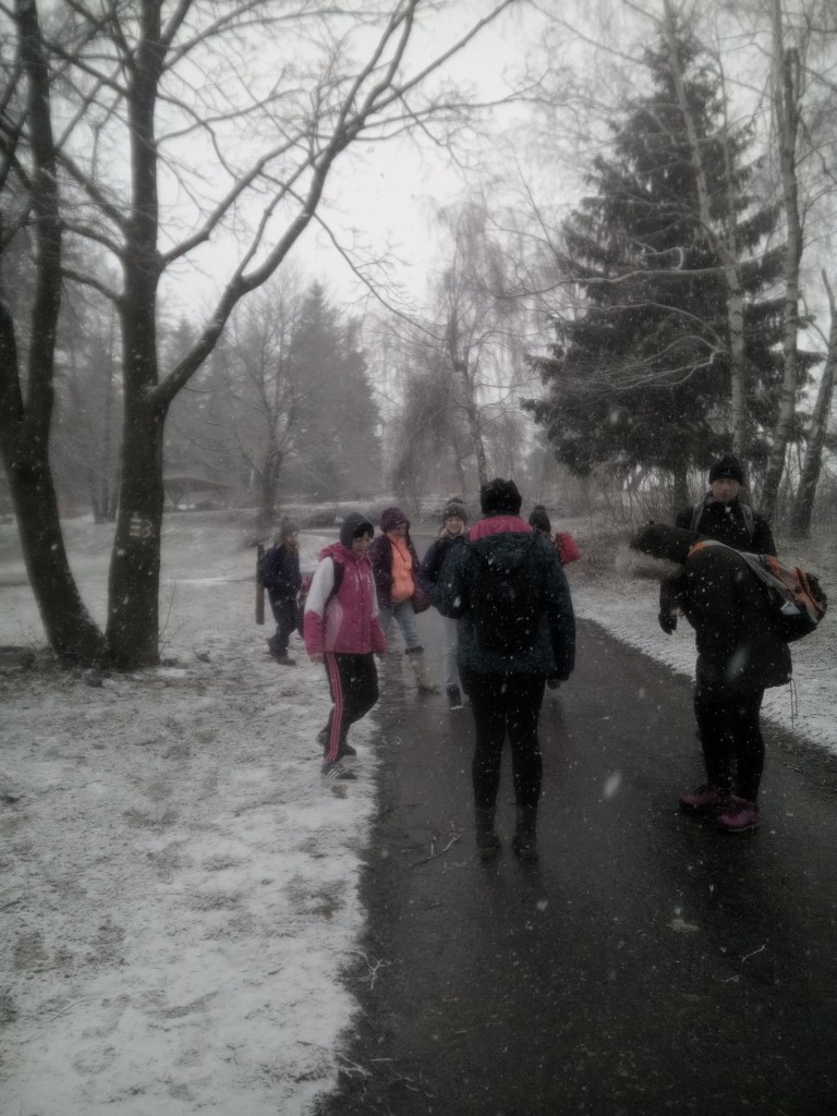 IMG_20160307_115310.jpg