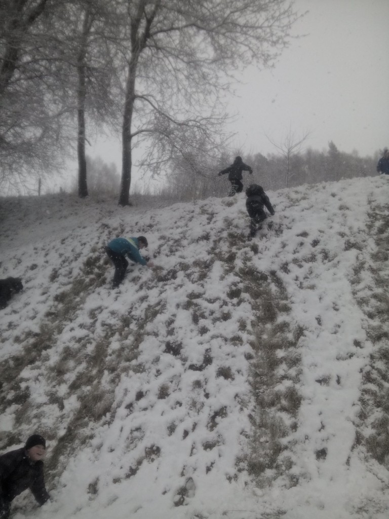 IMG_20160307_143519.jpg