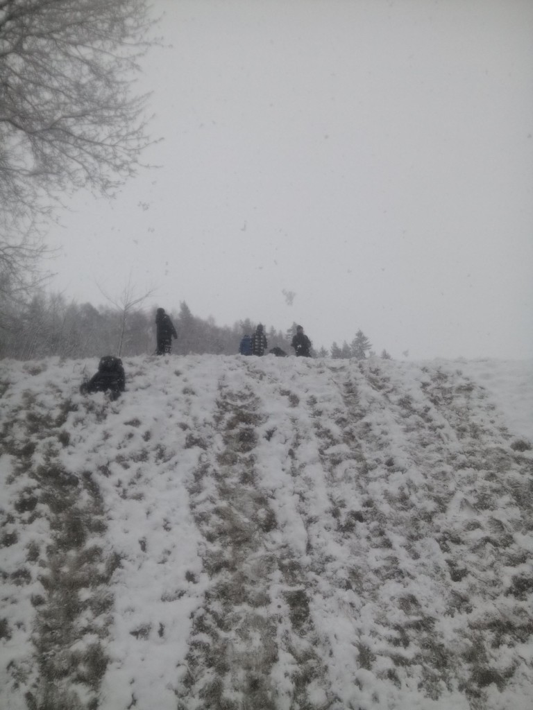 IMG_20160307_143522.jpg
