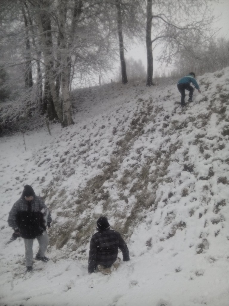IMG_20160307_143524.jpg