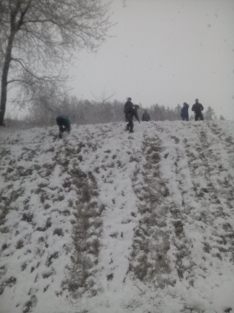 IMG_20160307_143527.jpg