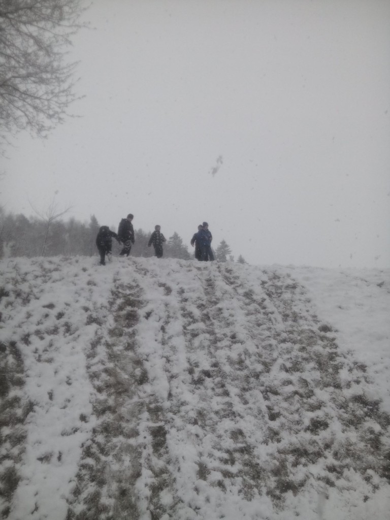 IMG_20160307_143529.jpg