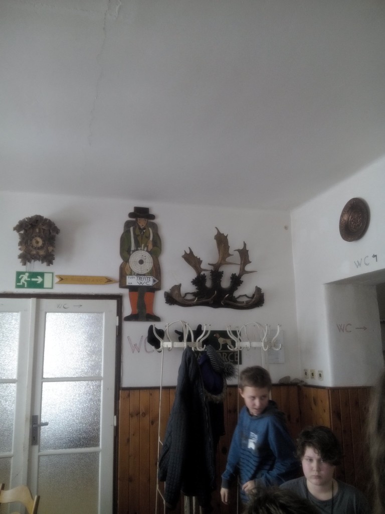IMG_20160308_142859.jpg
