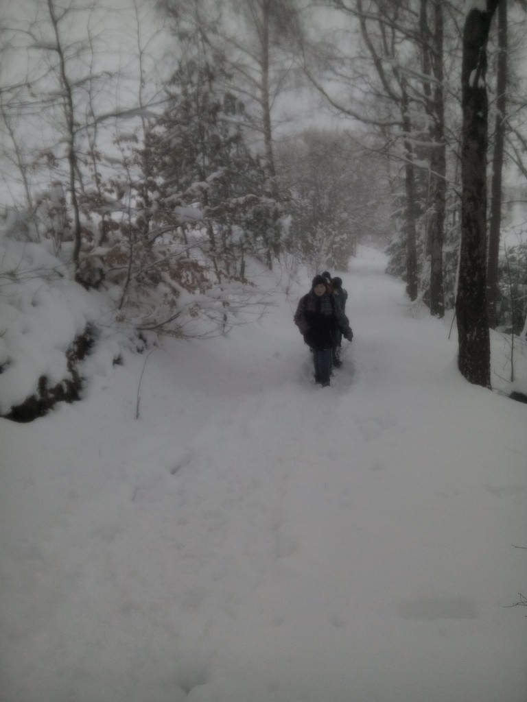 IMG_20160308_160004.jpg