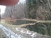 IMG_20160307_100628.jpg