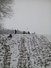 IMG_20160307_143522.jpg