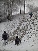 IMG_20160307_143524.jpg