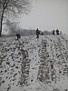 IMG_20160307_143527.jpg