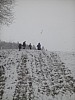 IMG_20160307_143529.jpg