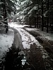 IMG_20160307_150915.jpg