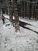 IMG_20160307_151112.jpg