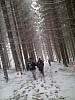 IMG_20160307_151228.jpg