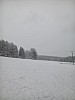 IMG_20160307_151910.jpg