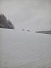 IMG_20160307_152236.jpg