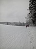 IMG_20160307_152243.jpg