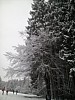 IMG_20160307_152304.jpg