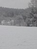 IMG_20160307_152348.jpg