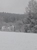 IMG_20160307_152401.jpg