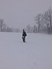 IMG_20160308_122912.jpg