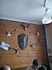 IMG_20160308_142841.jpg