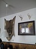 IMG_20160308_142856.jpg
