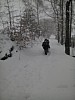 IMG_20160308_160004.jpg