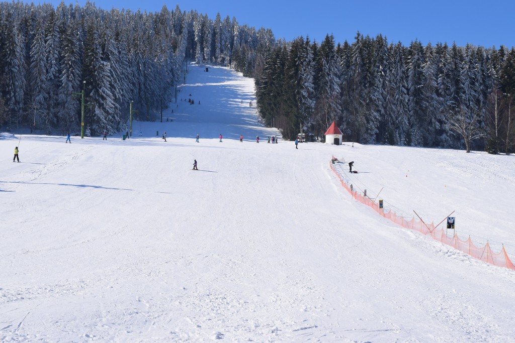 DSC_0111.jpg
