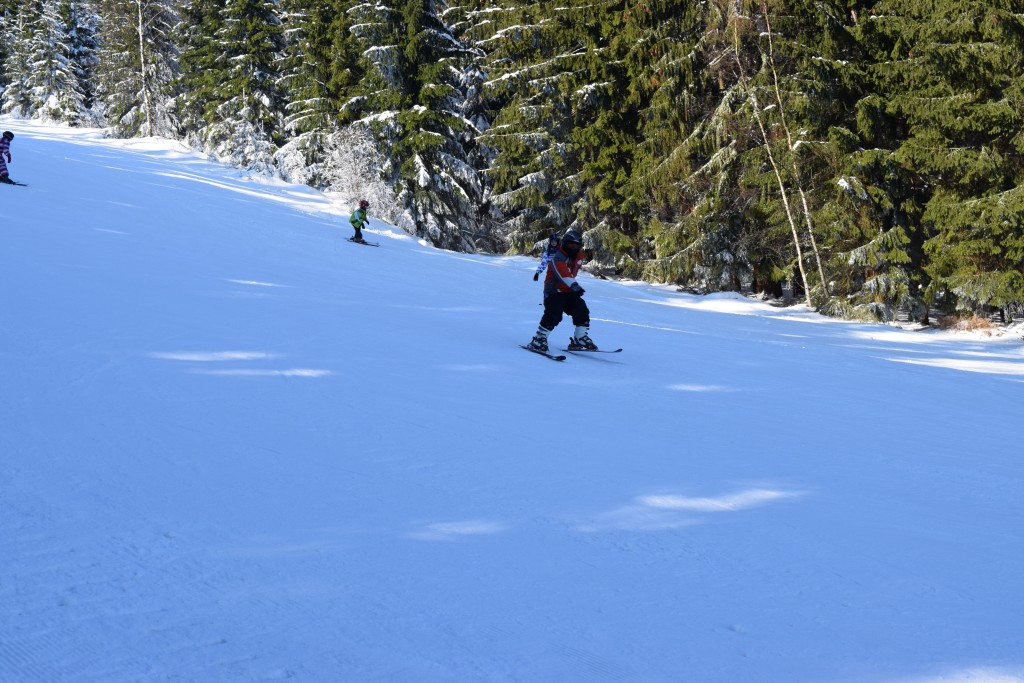 DSC_0117.jpg