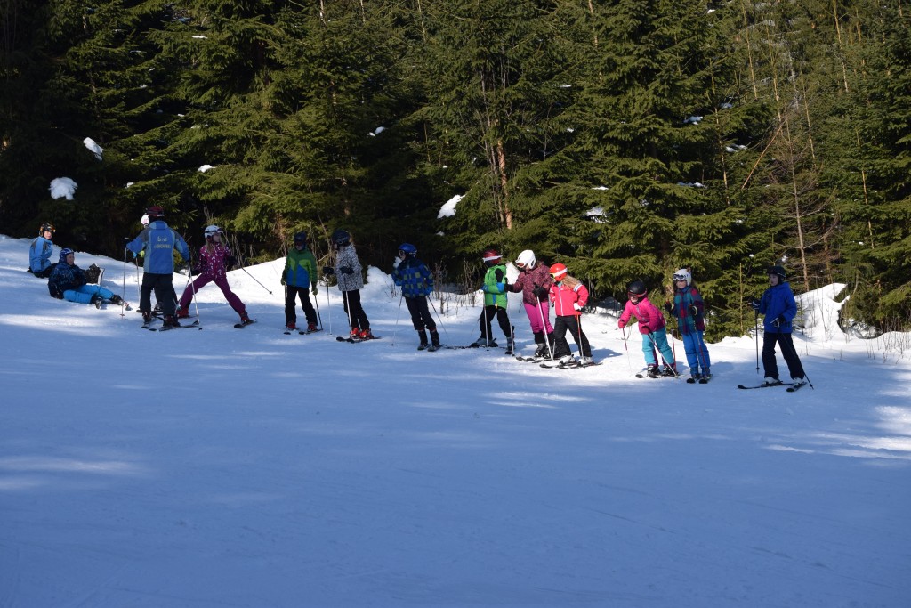 DSC_0166.jpg