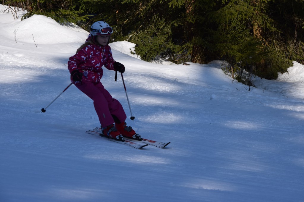 DSC_0169.jpg