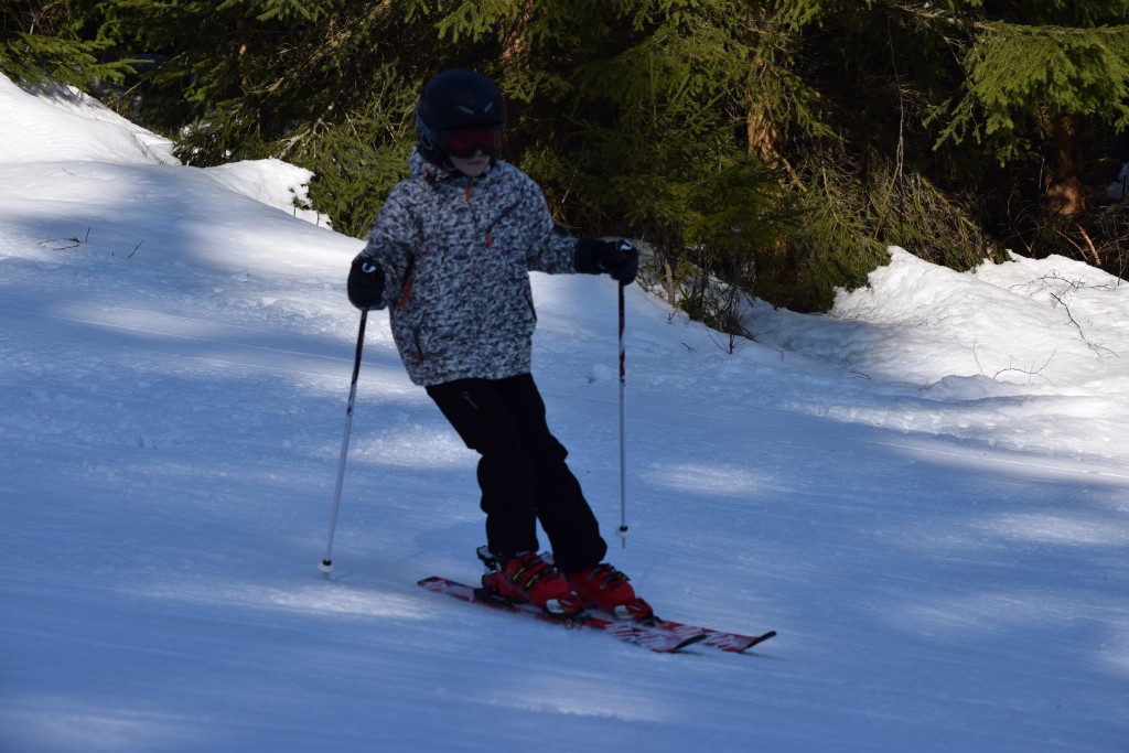 DSC_0170.jpg
