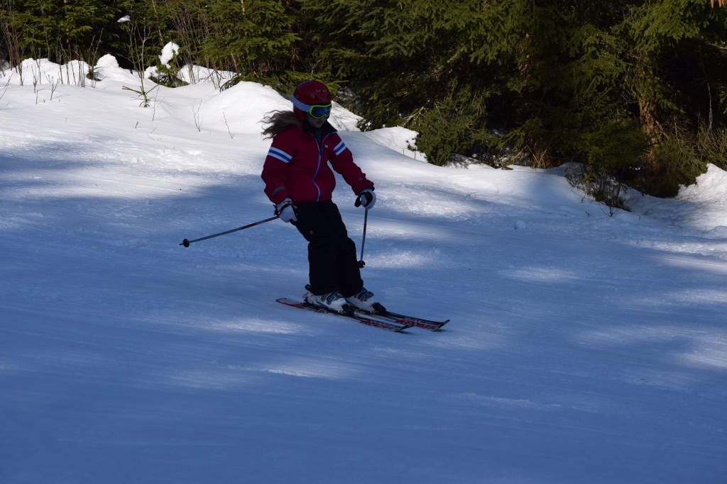 DSC_0172.jpg
