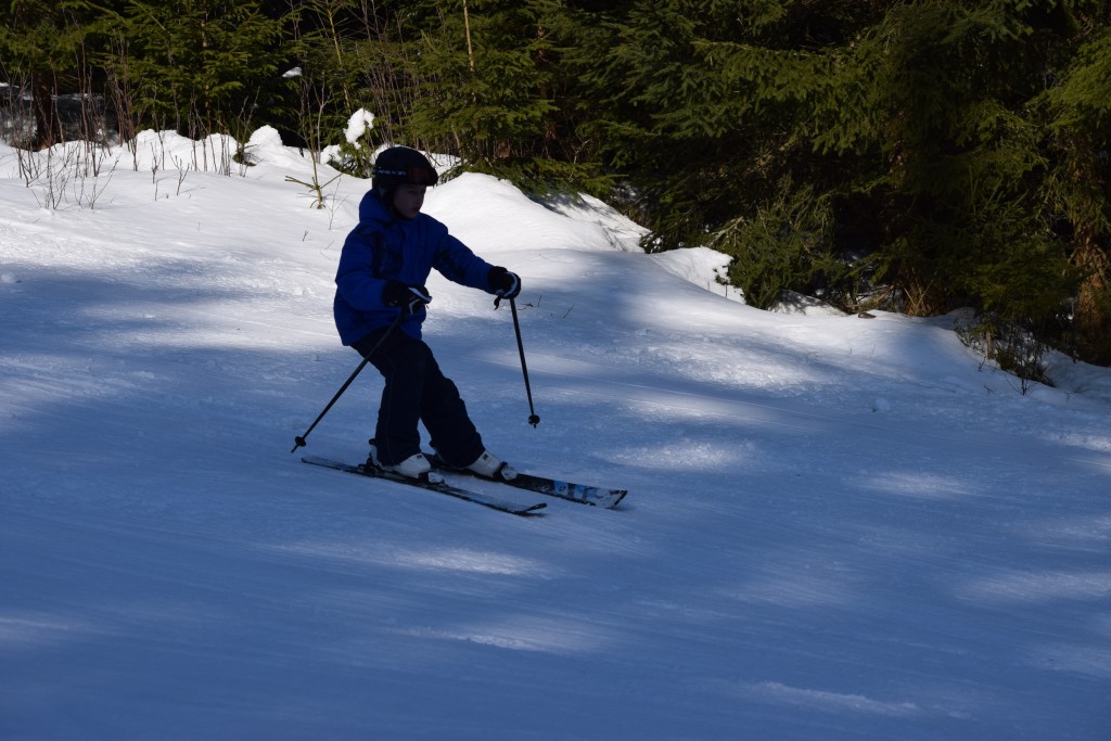 DSC_0176.jpg