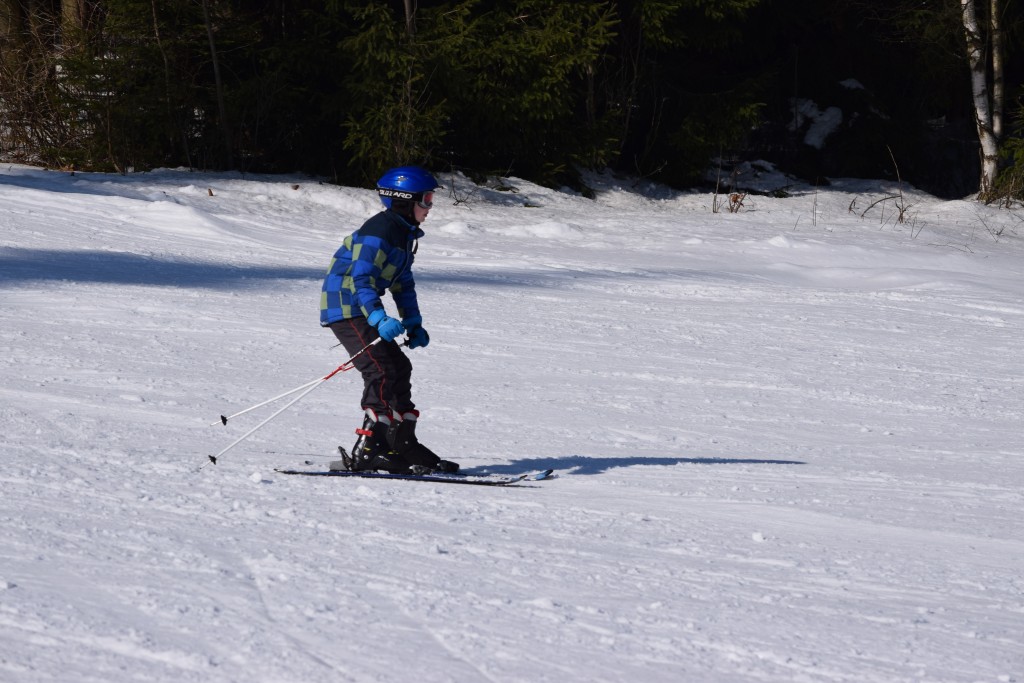 DSC_0183.jpg